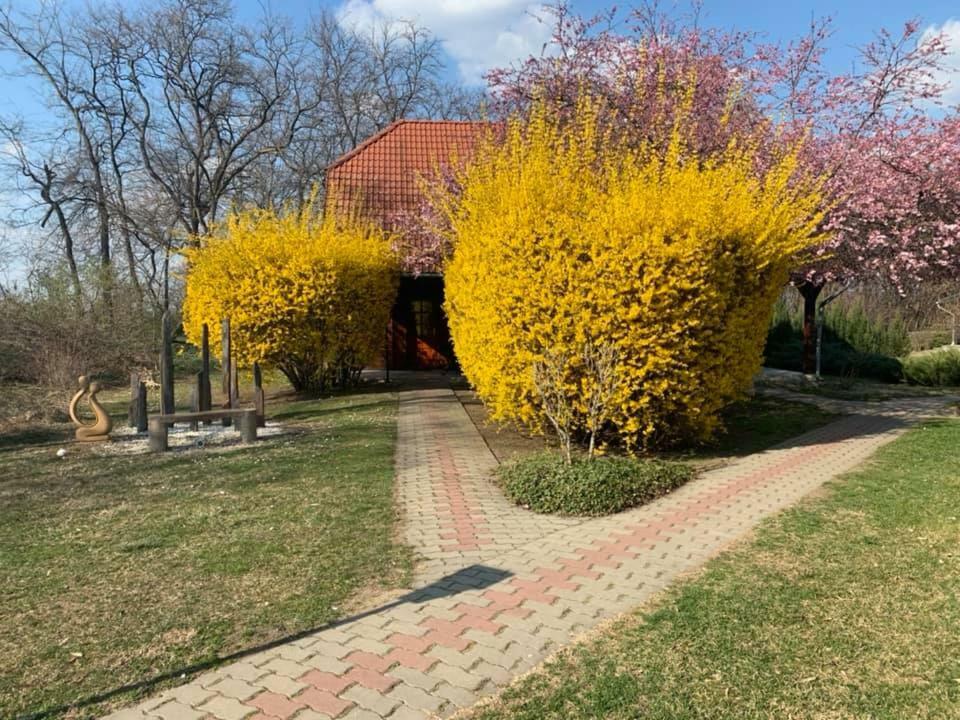 فندق بيليسفي  Sipito Pihenopark المظهر الخارجي الصورة