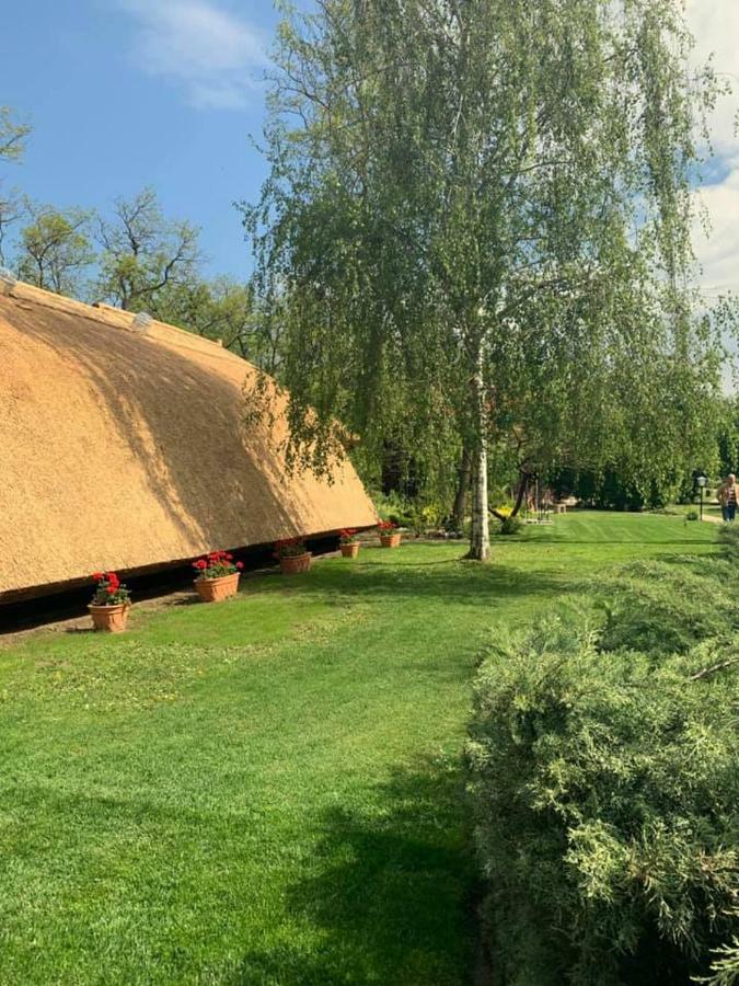 فندق بيليسفي  Sipito Pihenopark المظهر الخارجي الصورة